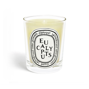 candela eucalyptus diptyque