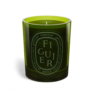 candela figuier vert