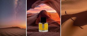 Les Indemodables oranger sirocco